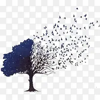 Ê÷-¿ÕÈôÍø Ê÷-¿ÕÈôÍø