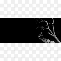 黑灰色简约树枝壁纸-空若网 黑灰色简约树枝壁纸-空若网