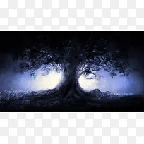黑色里透着光的大树-空若网 黑色里透着光的大树-空若网