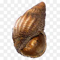 ��ɫ��ɫ����-������