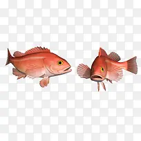 手绘卡通鱼-空若网 手绘卡通鱼-空若网