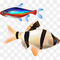 鱼儿游手绘卡通-空若网 鱼儿游手绘卡通-空若网