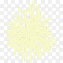 ��ͨ�ֻ�ɺ��-������