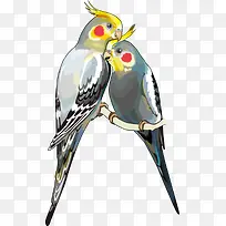 矢量鹦鹉-空若网 矢量鹦鹉-空若网