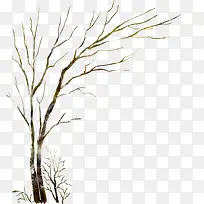 ��ͨ��֦ѩ��ͼƬ-������