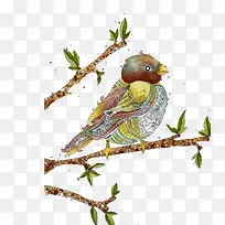 水彩小鸟 树枝-空若网 水彩小鸟 树枝-空若网