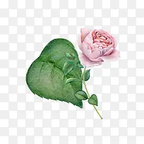 水彩手绘-空若网 水彩手绘-空若网