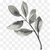 手绘水彩黑色叶子-空若网 手绘水彩黑色叶子-空若网