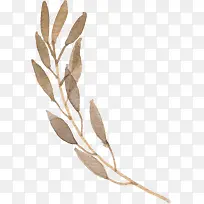 手绘水彩棕色叶子-空若网 手绘水彩棕色叶子-空若网