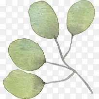 手绘水彩淡绿叶子-空若网 手绘水彩淡绿叶子-空若网