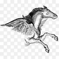 带翅膀飞驰的天马兽-空若网 带翅膀飞驰的天马兽-空若网