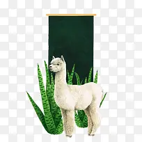 ¶¯Îï ²ÝÄàÂí Ö²Îï Ãâ¿Û-¿ÕÈôÍø ¶¯Îï ²ÝÄàÂí Ö²Îï Ãâ¿Û-¿ÕÈôÍø