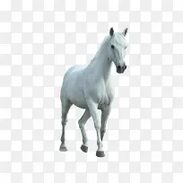 ��Ʒʵ��С��-������