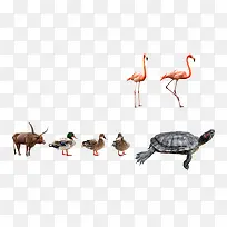 ���ֶ���-������