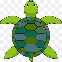 可爱乌龟-空若网 可爱乌龟-空若网