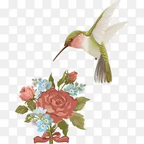 矢量手绘康乃馨水彩画4-空若网 矢量手绘康乃馨水彩画4-空若网