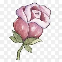 手绘玫瑰-空若网 手绘玫瑰-空若网