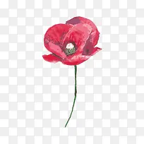 手绘花絮-空若网 手绘花絮-空若网