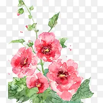 Êֻ洺ÈÕË®²Êõ¹å-¿ÕÈôÍø Êֻ洺ÈÕË®²Êõ¹å-¿ÕÈôÍø