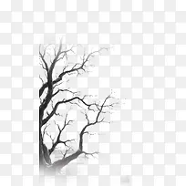 树枝-空若网 树枝-空若网
