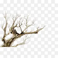 插画艺术枯树美景-空若网 插画艺术枯树美景-空若网