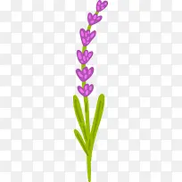 矢量薰衣草-空若网 矢量薰衣草-空若网