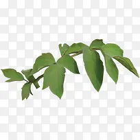 树枝树叶简约高清-空若网 树枝树叶简约高清-空若网