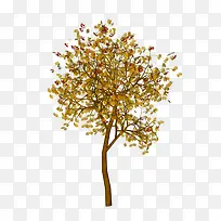 Ãâ¿Ù͸Ã÷»ÆÊ÷Ò¶Ê÷Ö¦-¿ÕÈôÍø Ãâ¿Ù͸Ã÷»ÆÊ÷Ò¶Ê÷Ö¦-¿ÕÈôÍø