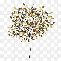 高清树木树枝树叶矢量背景-空若网 高清树木树枝树叶矢量背景-空若网