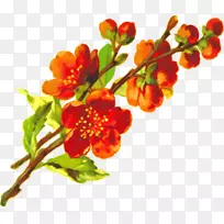 ���ܼ�����-����-������