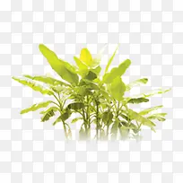 ֲ��Ž���-������