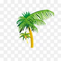 °Å½¶Ê÷-¿ÕÈôÍø °Å½¶Ê÷-¿ÕÈôÍø