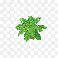 ��ɫ�Ž���ͼ-������