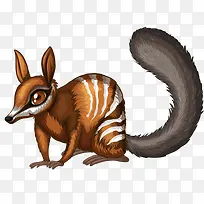 动物松鼠-空若网 动物松鼠-空若网
