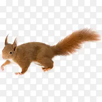 �ɰ���ͨ����-������