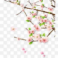 海报花朵设计效果图树枝-空若网 海报花朵设计效果图树枝-空若网