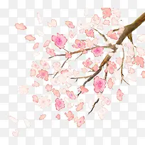 树枝 干树枝-空若网 树枝 干树枝-空若网