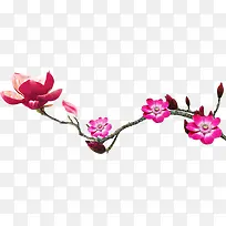 高清粉色花朵树枝-空若网 高清粉色花朵树枝-空若网