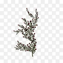 ÒÕÊõÊ÷Ö¦»¨¶ä×°ÊÎ-¿ÕÈôÍø ÒÕÊõÊ÷Ö¦»¨¶ä×°ÊÎ-¿ÕÈôÍø