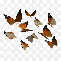 ��ɫ��������-������