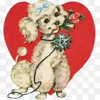 标准贵宾狗饼干-快乐情人节-空若网 标准贵宾狗饼干-快乐情人节-空若网