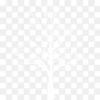 冬季树枝背景图片-空若网 冬季树枝背景图片-空若网