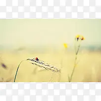 高清背景图片矢量素材-空若网 高清背景图片矢量素材-空若网