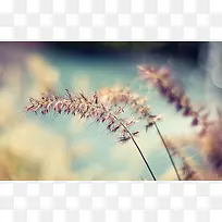 高清背景图片背景素材-空若网 高清背景图片背景素材-空若网