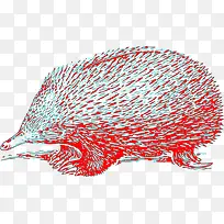 彩色刺猬-空若网 彩色刺猬-空若网