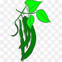 绿色豆角-空若网 绿色豆角-空若网