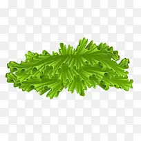 ��Ҷ-������