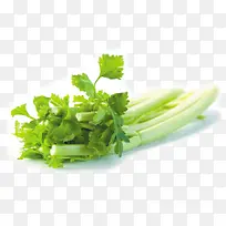 ��ɫ�߲�-������