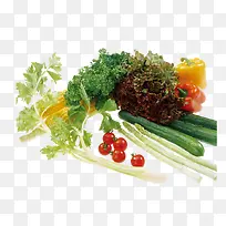 绿色蔬菜-空若网 绿色蔬菜-空若网