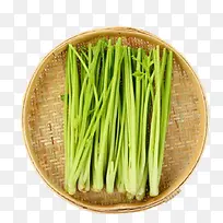 绿色芹菜-空若网 绿色芹菜-空若网
